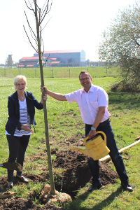 Tag des Baumes 2015: Rettet unsere Alleen