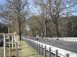 Bundesstrae 2 zwischen Beelitz und Buchholz in Brandenburg