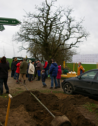 Pflanzung eines Baumes