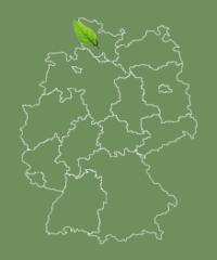 Allee befindet sich in Schleswig-Holstein Schleswig-Holstein