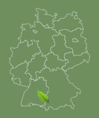 Allee befindet sich in Bayern Bayern