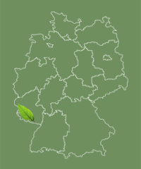 Saarland