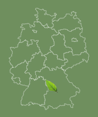 Allee befindet sich in Bayern Bayern