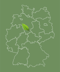 Allee befindet sich in Niedersachsen Niedersachsen