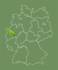 Allee befindet sich in Nordrhein-Westfalen Nordrhein-Westfalen