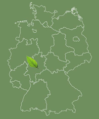 Allee befindet sich in Hessen Hessen