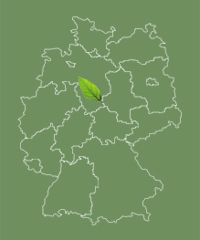 Allee befindet sich in Niedersachsen Niedersachsen