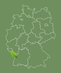 Baden-Württemberg