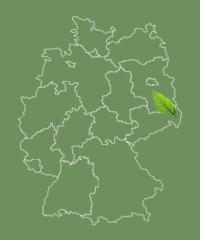 Allee befindet sich in Sachsen Sachsen