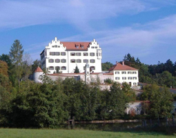 Schloss auf einem Berg mit Wald und blauem Himmel im Hintergrund.