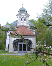 Allee im Frühling mit Rapsfeld