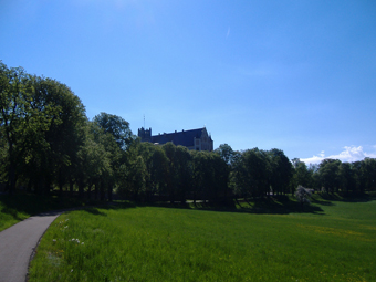 Allee im Früling von weitem fotografiert mit blauem Himmel.