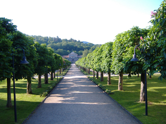 Blick auf das Staatsbad und Allee