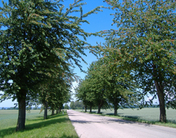 Schloss vor blauem Himmel