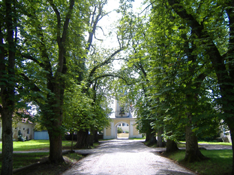 Weg zum Wasserschloss mit Kastanien