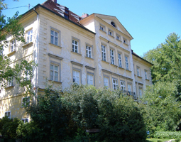 Birken im Sommer mit Schloss