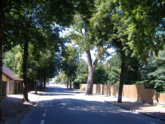 Allee in Wohngebiet