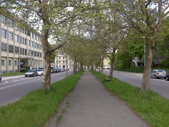 Allee mit Fahrstreifen links und rechts