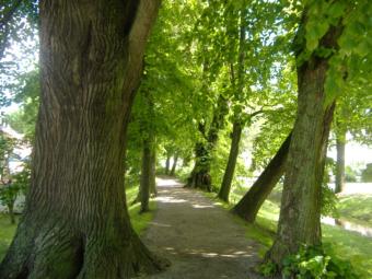 Allee rund um den Stadtwall von Schrobenhausen