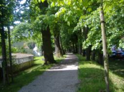 Allee rund um den Stadtwall von Schrobenhausen