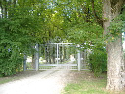 Ahorn- und Eschenallee am Schlossgut Moosschweige