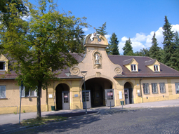 Lindenalleen im Westfriedhof Augsburg