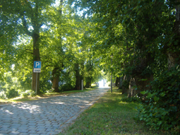 Lindenallee an der Burg Spielberg