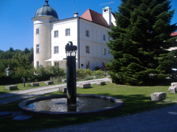 Allee zum Schloss Taxa