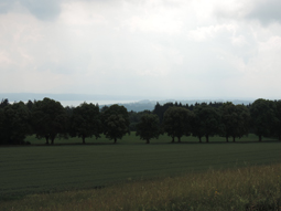 Lindenalleen in und um Tutzing am Starnberger See