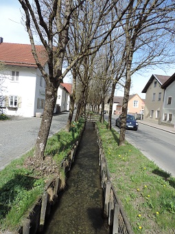 Stadtbachallee in Weilheim i.Ob.