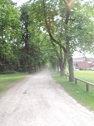 Kastanienallee in Stetten o. Lontal