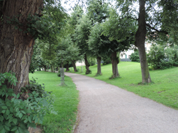 Alleen im Park an der Ilm, Weimar