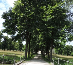 Alleenparadies in der Schlossanlage Schleißheim