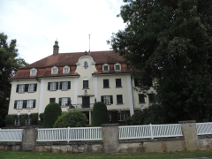 Linden-/Kastanienallee östlich vom Schloss Roggenburg, Landkreis Neu-Ulm