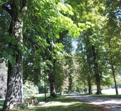 Kastanienallee im Schlosspark von Possenhofen am Starnberger See