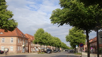 Lindenallee in Ludwigslust