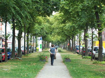 Allee