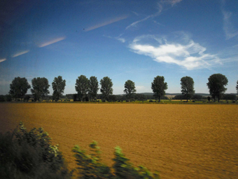 Allee