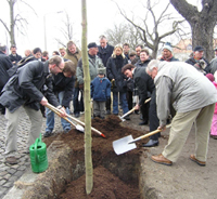 Pflanzung März 2006