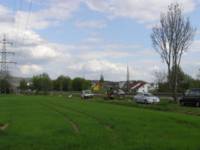 Im Vordergrund befindet sich ein Feld mit Blick auf die Allee