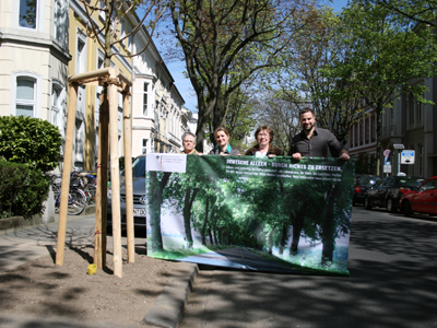 Neupflanzung in Strasse in Bonn.