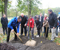 Pflanzung Herbst 2010