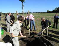 Pflanzaktion im Spätsommer 2003